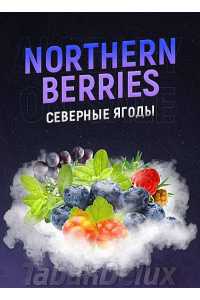 Табак 420 Northern Berries (Северные ягоды) 100 грамм Вкус 🍓 Малина, 🍇 Смородина, 🫐 Черника