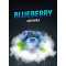 Тютюн 420 Blueberry 100 грам Смак 🫐 Чорниці