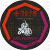 Molfar Tobacco Chill WolfBerry (Тютюн для кальяну Мольфар Чилл Ягідний Мікс) 40 грам