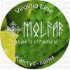 Тютюн для кальяну Molfar Virginia Cactus Lime (Мольфар Кактус Лайм) 40 грам