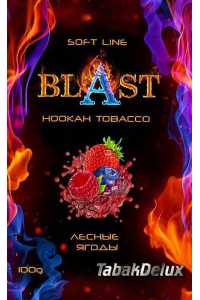 Blast Forest Berries (Лісові Ягоди) 100 грам Смак 🍇 Малина, 🍓 Полуниця, 🫐 Чорниця