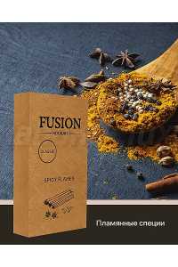 Fusion Classic Spicy Flames (Специи) 100 грамм Вкус 🫚 Специи смесь, которая сочетает в себе кардамон, корицу и гвоздику