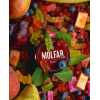 Вкус 🍬Мармеладные мишки с фруктами — Molfar Spirit Line Эдем
