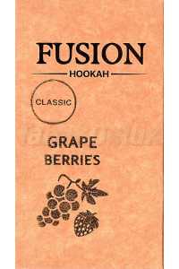 Fusion Classic Grape Berries (Виноград Ягоди) 100 грам Смак 🍇 Виноград, 🍓 Ягоди
