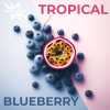 WhiteSmok Tropical Blueberry (Тропикал Черника) 50 грамм